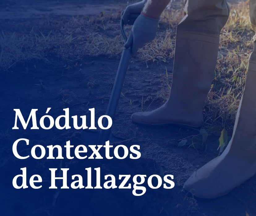 Módulo de Contextos de Hallazgos