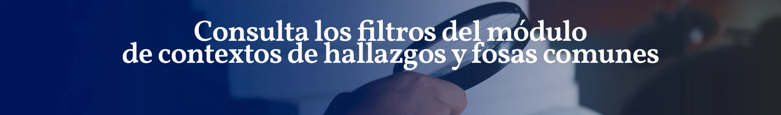 Consulta de filtros